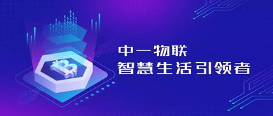 中一物聯(lián)應(yīng)邀出席2019中意創(chuàng)新發(fā)展峰會(huì)，共筑南京科技名城新藍(lán)圖